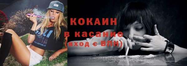 дживик Волоколамск