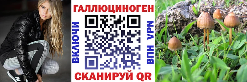 Псилоцибиновые грибы мухоморы  Купить  Кудымкар 