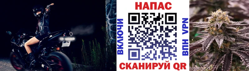 Бошки Шишки Amnesia  Купить закладки  Кудымкар 